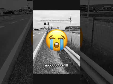 Une Tesla s’arrête pour me prendre en stop au Japon mais…