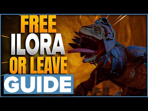 Free Ilora Or Leave Her In The Cell Choice Guide For Avowed