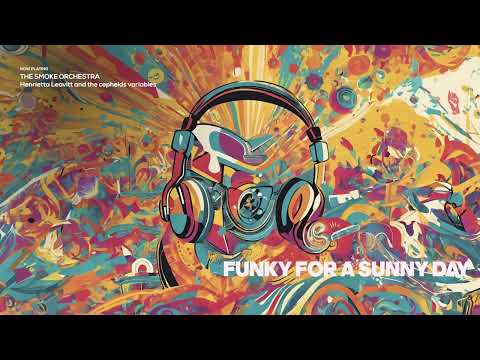 FUNKY FOR A FUNNY DAY | The Best 20 Acid Jazz & Funk Tracks