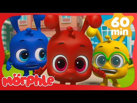 Hide and Go Seek! 👀 | Fun Animal Cartoons | @MorphleTV  | Learning for Kids