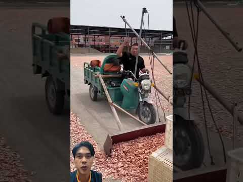 Udang udang kering !!! #udang #udang #kering #satisfying #agriculture #farming #satisfying