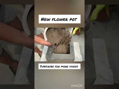 New flower pot
