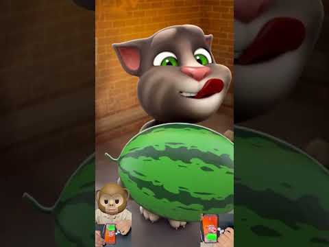 Talking tom cat gameplay (Part 352)