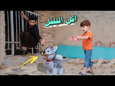 الجلب🐕 اكل البلبل🐦|راحن كل فلوسي كارثه🤥