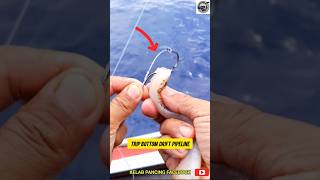 Umpan Isi Ikan Mudim Ni Amat Terbaik Untuk Memancing Ikan Dasar/Bottom.. #shorts #fyp #reels