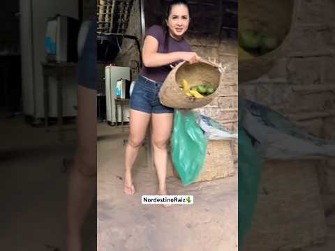 O Nordestino raiz é essa pessoa simples, que se alegra com pouco e fica feliz, sempre grato a Deus🌵