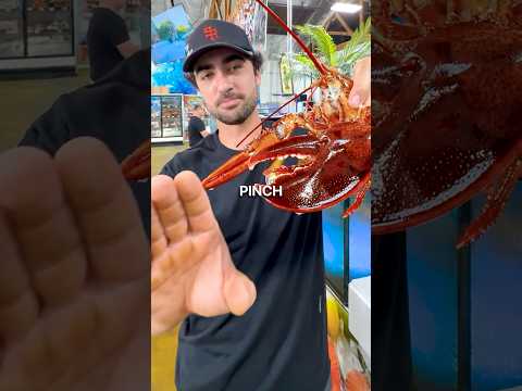 Lobster vs Finger