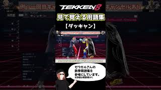【鉄拳8】見て覚える用語集【ダッキャン】