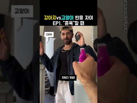 현실 고증 100% 아니냐고욬ㅋㅋ