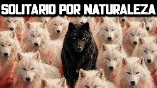 5 Señales de Que Eres un Verdadero Lobo Solitario – Friedrich Nietzsche