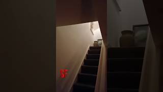 TERRIFYING ENCOUNTER Captured on camera!? 😱 #scary #shorts #ghost