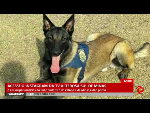 Homenagemao cão Héros que atuou em Pouso Alegre e na capital mineira