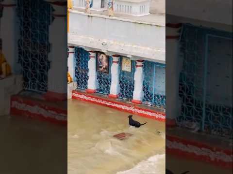 எல்லாரும் சேர்ந்து ஹெல்ப் 🙏 #tamilvideo #shorts