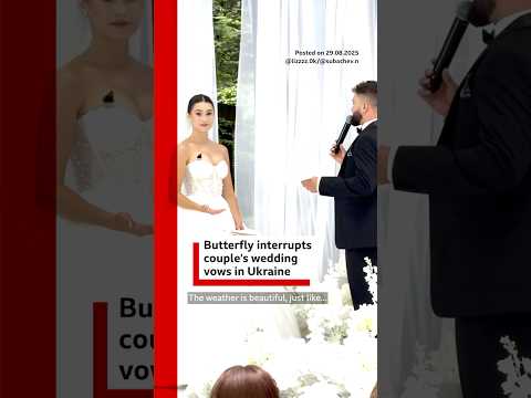 Butterfly interrupts couple's wedding vows in Ukraine. #WeddingVows #Wedding #BBCNews