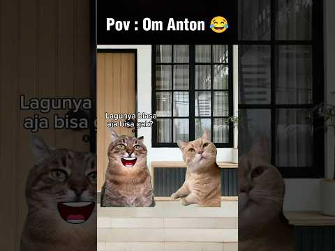 Pov : Om Anton 😁 #meme #kucing #cat#animation #fypシ