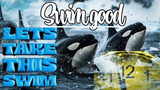 do you swim here often? #swimgood #livestream