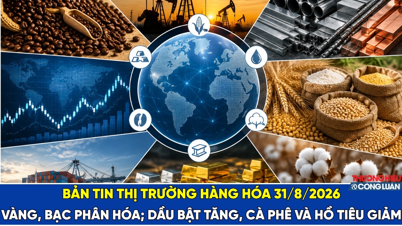 Bản tin thị trường hàng hóa 31/8/2026: Vàng, bạc phân hóa; dầu bật tăng, cà phê và hồ tiêu giảm
