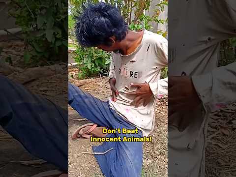 Instant Karma😱💀  (My Best video Ever ) 😭🥺#kitten #viral #cat #story #youtubeshorts  #toys (Ep -1)