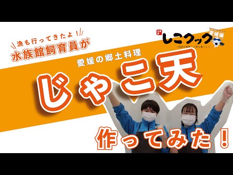 【漁も行ってきたよ！】水族館飼育員が「じゃこ天」作ってみた！〜しこクック愛媛県編〜