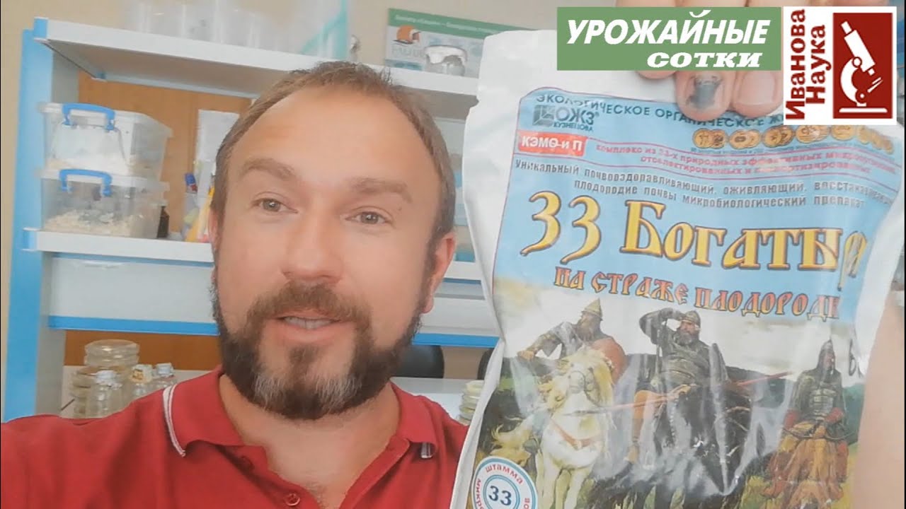 Как справиться со всеми проблемами сада и огорода сразу? Помогут ли 33 богатыря?