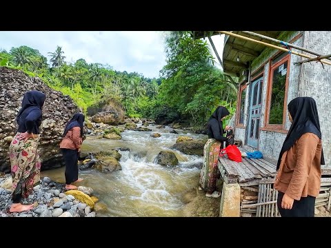 Suasana Pagi Di Kampung Yang Tenang, Setelah Hujan Mengguyur Kampung Yang Indah, Pedesaan Jawa Barat