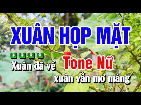 Karaoke Xuân Họp Mặt Nhạc Sống Tone Nữ | Beat Huỳnh Anh