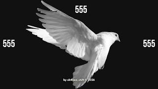 ✦ это найдёт тебя за 24 часа до лучшей новости в году (555)