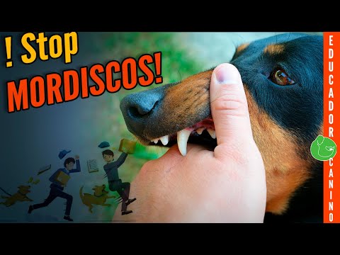 鈿狅笍 5 Trucos para ADIESTRAR y ENSE脩AR a tu PERRO a NO MORDER 馃惡馃枑馃徏 (Infalible para Cachorro!!)