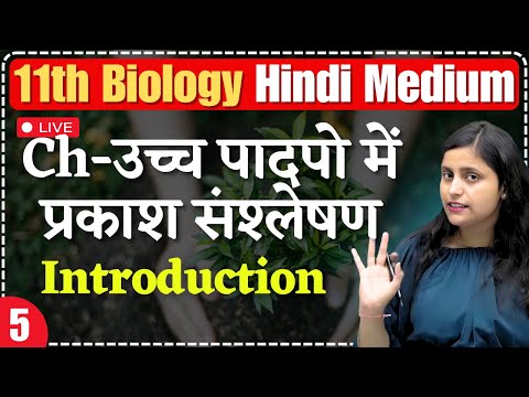 11th Biology| L-1 | Ch - उच्च पादपो में प्रकाश संश्लेषण | Introduction | hindi medium