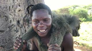 The Wonder Of African Baboon’s Hunting Tradition | Hadzabe Tribe Hunting for survival in the Bush