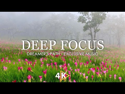 Dreamer's Path | 4K Video Nature - Focus Music