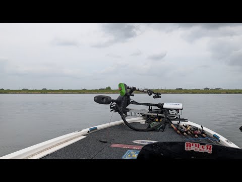 利根川夕マズメ！【FishingLIVE】