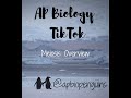 Meiosis Concepts and Processes