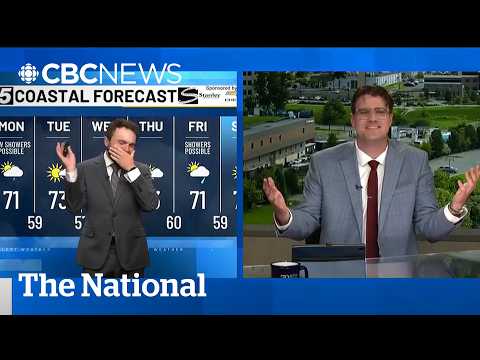 Meteorologist has laugh attack meltdown on <strong>live</strong> <strong>TV</strong> | The Moment