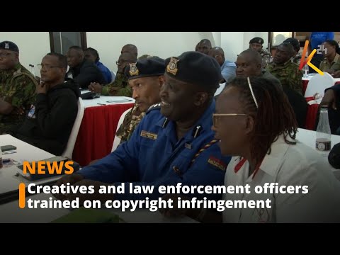 Creatives and law enforcement officers trained on copyright infringement