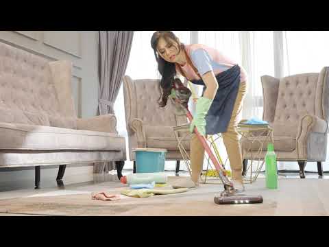 Ecovitta Steam Cleaner Product Video Cover Image