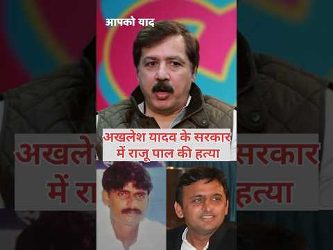 अखिलेश यादव की सरकार में राजू पाल की हत्या क्यों हुई ? #shorts #up #viral #akhileshyadav #rajupal