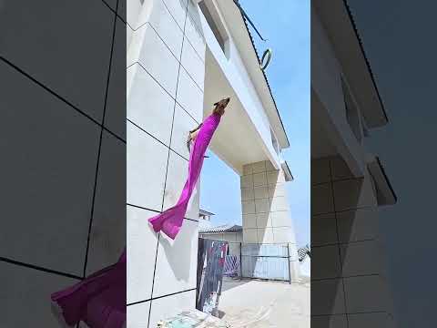tails wall catching easy for your time #trending #dog #viralvideos #shortsvideo #youtubeshorts
