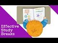 Maximizing Study Time with Timers and Goals