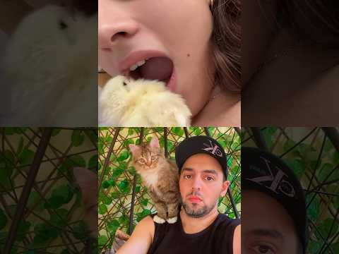 Me trying to eat my chicken nuggets ? #shorts #viral #funny #trending #short #shortvideo #memes