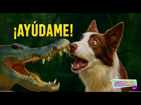 🐊 ¡AYÚDAME a CRUZAR el RÍO antes de que nos COMA el COCODRILO! 🚨