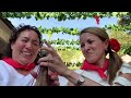 Elementos Poéticos y Artistas en Video