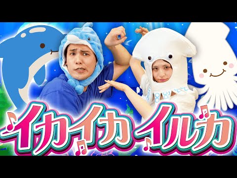イカイカイルカ🦑🐬covered by うたスタ｜video by おどりっぴぃ｜赤ちゃん泣き止む｜赤ちゃん喜ぶうた｜童謡｜こどものうた｜てあそび｜ダンス｜振り付き｜知育アニメ｜Finger play