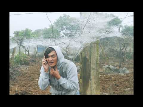 Mộc Châu giá lạnh.