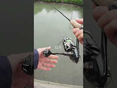 釣れたルアーを同じ場所で投げると？#fidelity #PLIABLE73ml #沖縄釣り