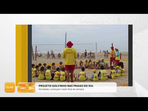 Projeto Golfinho nas praias do Sul | Cotidiano | SCC Meio-Dia