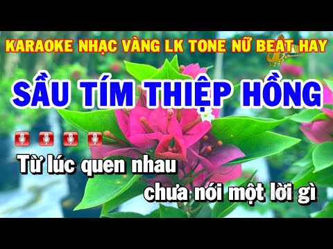 Karaoke Nhạc Sống Liên Khúc Tone Nữ Rumba | Sầu Tím Thiệp Hồng – Con Đường Xưa Em Đi | Thanh Hải