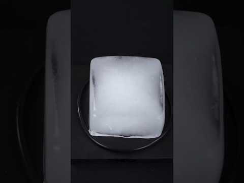 کدوم یخ زودتر ذوب میشه؟🧊🧊