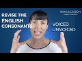 Voiced and Unvoiced Consonants