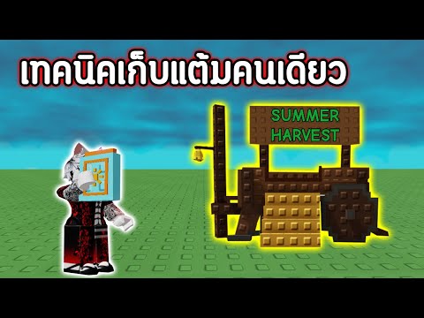 วิธีเก็บแต้ม!! อีเว้นท์ SUMMER HARVEST คนเดียวเก็บแต้มอย่างเยอะ | Roblox Grow a Garden